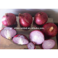 Chinese fresh red onion